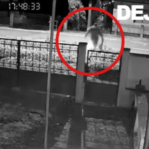 Un tânăr accidentat grav în Cuzdrioara după ce a traversat ilegal strada