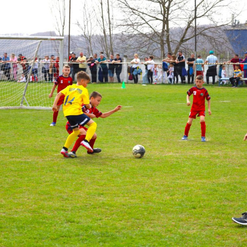 Interliga Dâmbovița, o creștere impresionantă în fotbalul judetean