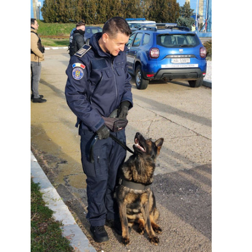 Linda, ciobănescul german care va ajuta la detectarea drogurilor și țigărilor