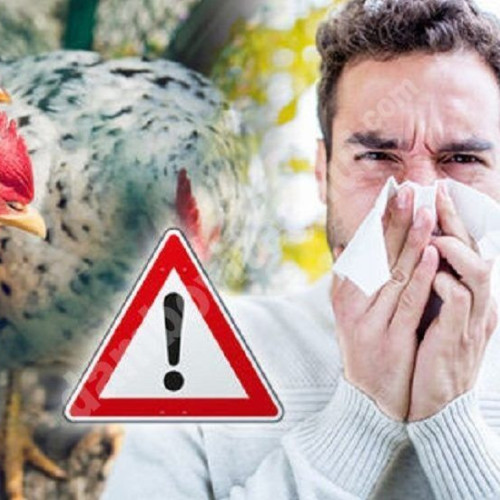 Explozie a cazurilor de gripă în România