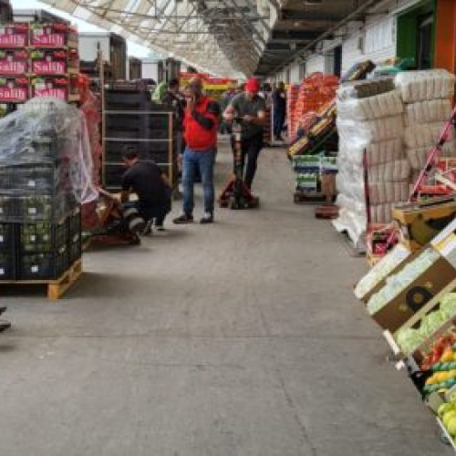 Amenzi de peste 9 milioane de lei aplicate de inspectorii sanitar-veterinari