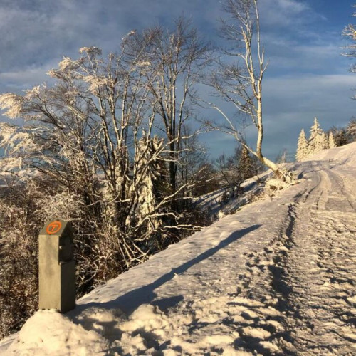 CNN recomandă Via Transilvanica ca destinație turistică