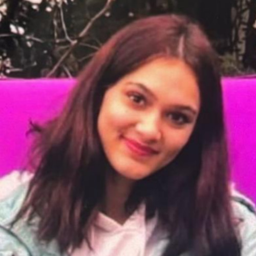 Minora dispărută, găsită în Apahida