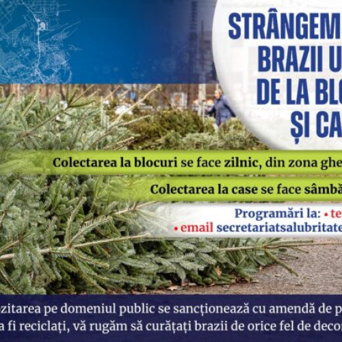 Primăria Sectorului 1 colectează gratuit brazii de Crăciun