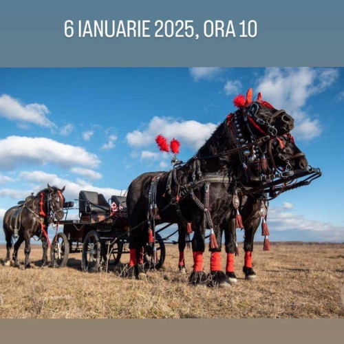 Dâmbovița: Eveniment ecvestru de Bobotează