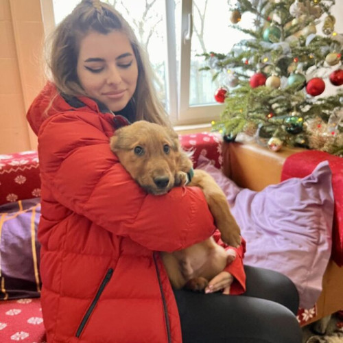 Primul cățel adoptat este un băiețel de aproximativ 4 luni