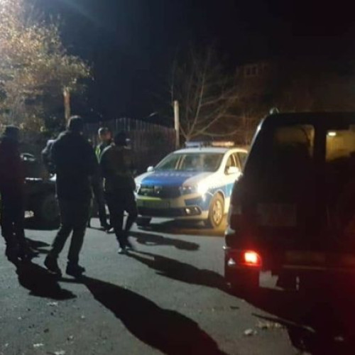 Doi frați din Botoșani condamnați pentru agresiune și distrugere