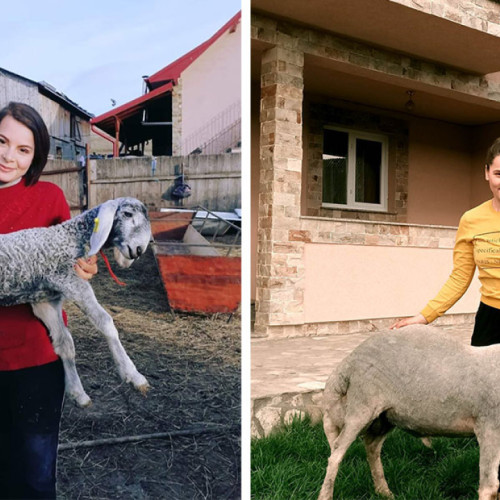 Alina Voiniciuc: Tânăra crescătoare de oi care contrazice stereotipurile