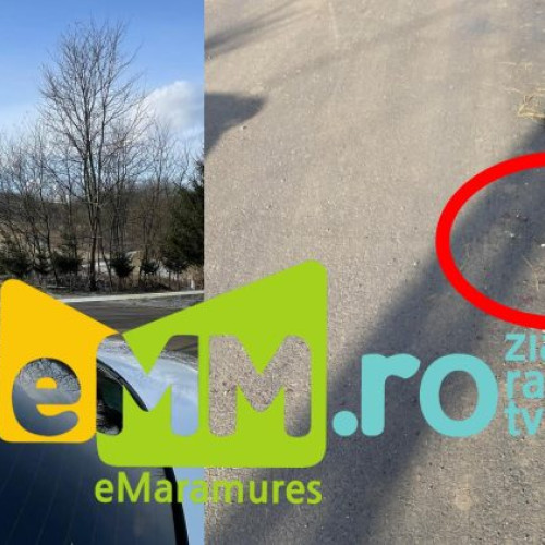 Fugarul din Ieud prins de poliție după un conflict violent