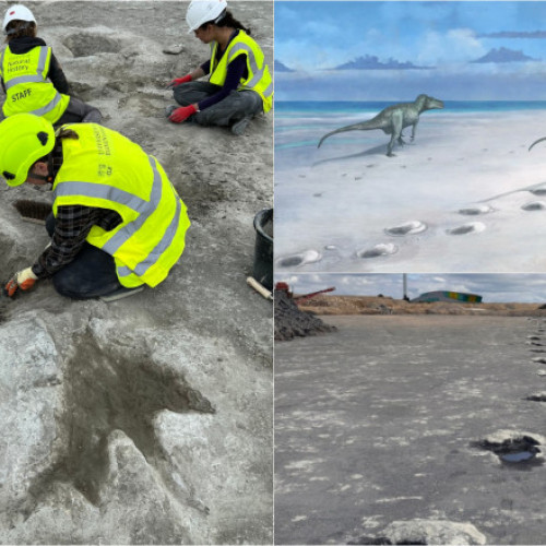 O nouă &quot;autostradă a dinozaurilor&quot; descoperită în Anglia