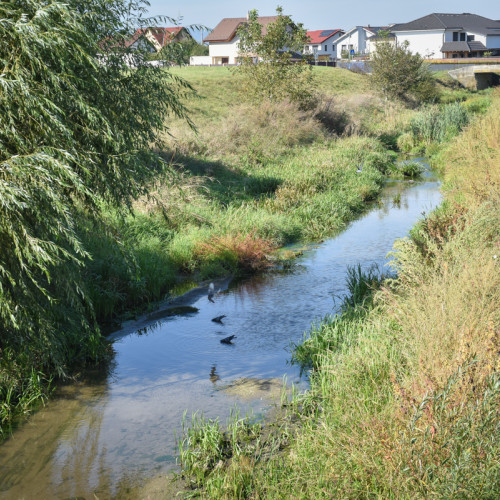 Proiect pentru un "coridor verde" în Cartierul Tineretului din Sibiu