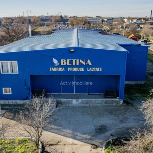 Hala industrială din Poiana, scoasă din nou la vânzare