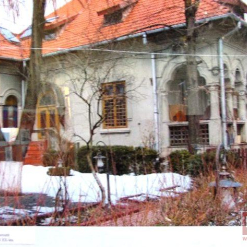 Ramiro Savinescu: O figură controversată a politicii botoșănene între război și crize