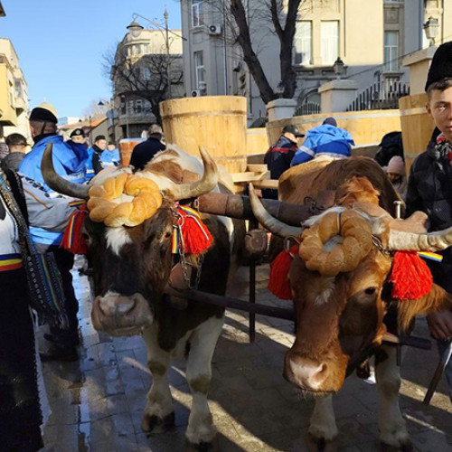 Tradiție și ritualuri de Bobotează la Constanța