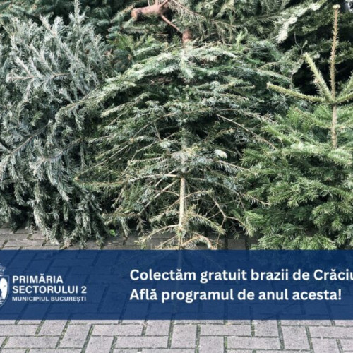 Colectare gratuită a brazilor de Crăciun în Sectorul 2