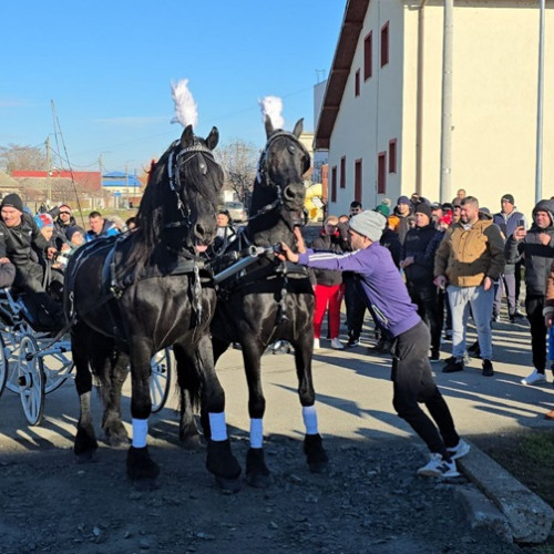 Botezul Cailor, sărbătoare tradițională la Centrul pentru Tineret