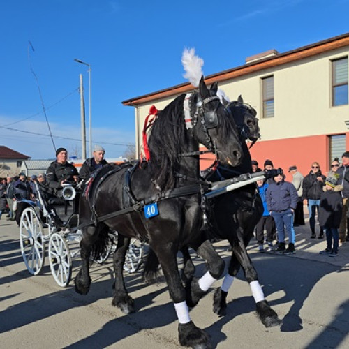 Concursul de Bobotează a strâns iubitorii de cai din Mihail Kogălniceanu