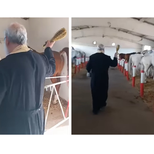 Tradiția românească omagiază călărețul și calul la Herghelia Mangalia