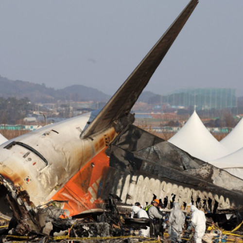 Ancheta în cazul prăbușirii avionului Jeju Air din Coreea de Sud