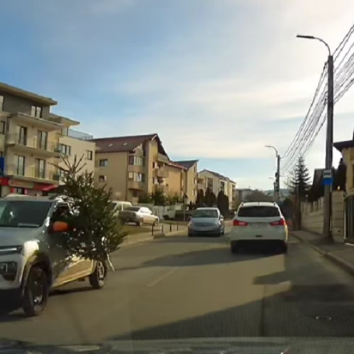 Un clujean inedit își duce bradul de Crăciun pe străzi