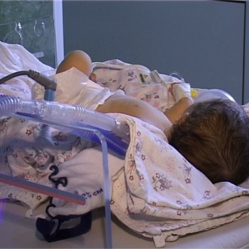 Părinți din Botoșani acuză medici de malpraxis după moartea nou-născutului