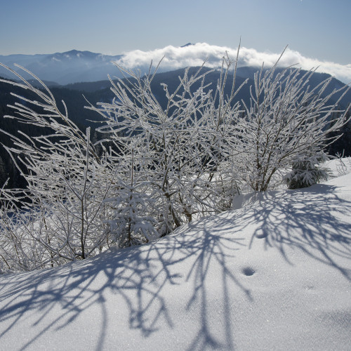 Prognoza meteo pentru perioada 8-19 ianuarie 2025 în Moldova