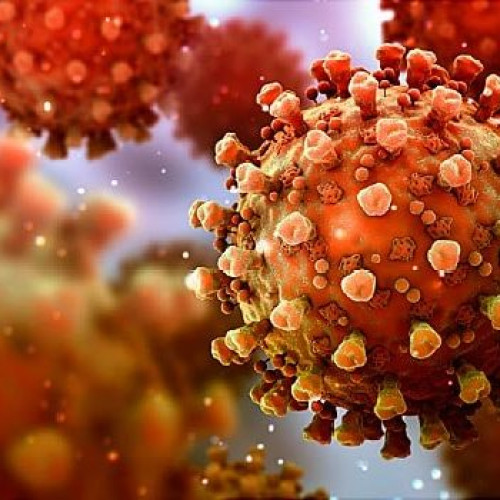 Scădere semnificativă a cazurilor de COVID-19 în România