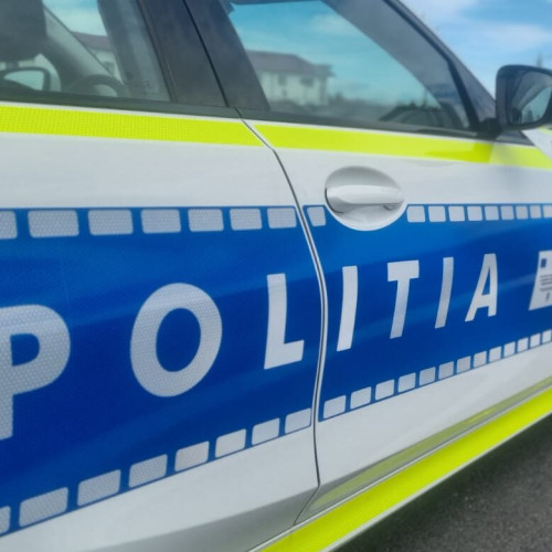 Ancheta în cazul dispariției a doi adolescenți din Tulcea