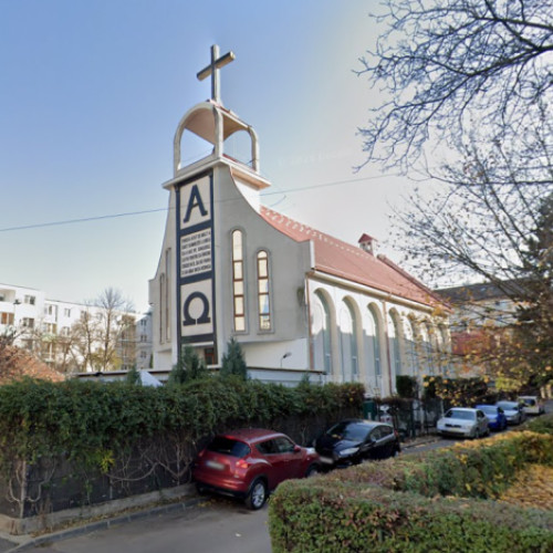 Probleme legate de mizeria lăsată de câini pe trotuarele din Cluj-Napoca