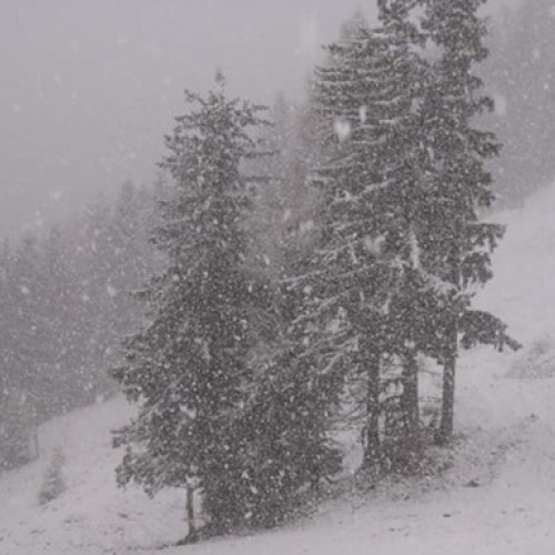 Alerte meteorologice pentru perioada 10-11 ianuarie