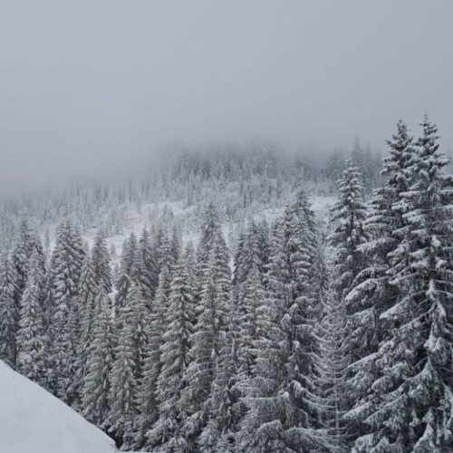 Avertizare de precipitații moderate și ninsoare la munte