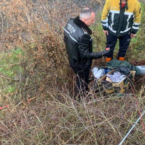 Un bărbat din Teiuș, amendat pentru aruncarea gunoiului în raul Geoagiu