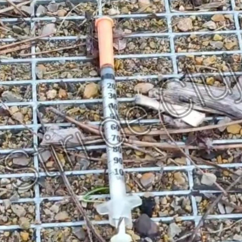 Consumul de droguri în rândul tinerilor, o provocare pentru România