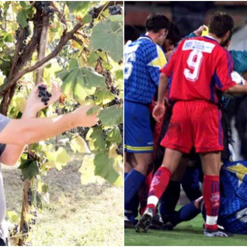 Apel umanitar pentru mama lui Vasile Ardeleanu, fost fotbalist din Bacău