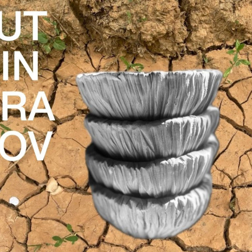 Expozitia Andreei: O explorare a resurselor locale în arta ceramică