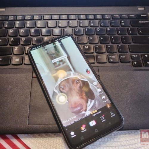 Tinerii români, foarte activi pe TikTok: România, în topul utilizatorilor