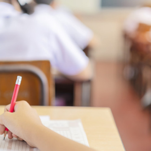 Ministrul Educației cere interzicerea dictării în școli