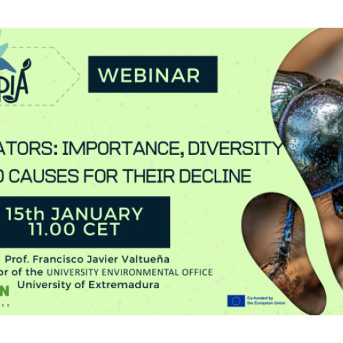 Universitatea din Oradea se alătură proiectului "Insectopia" pentru promovarea biodiversității