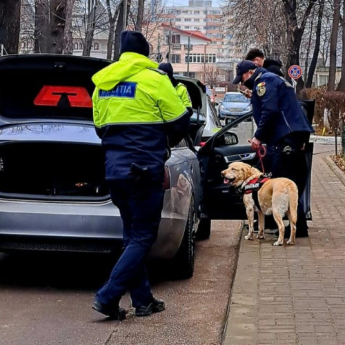 Acțiuni pentru siguranța elevilor în Botoșani