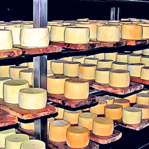 Firma din Botoșani specializată în lactate a cerut insolvența