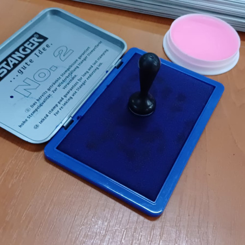 Data alegerilor prezidențiale stabilită de Guvern