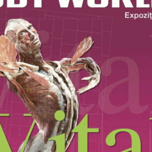 Expoziția BODY WORLDS - Vital se va prelungi până pe 16 martie 2025