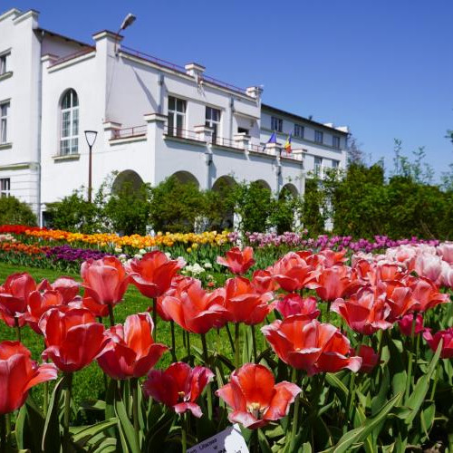 Gradina Botanică "Alexandru Borza" atrage un număr record de vizitatori în 2024