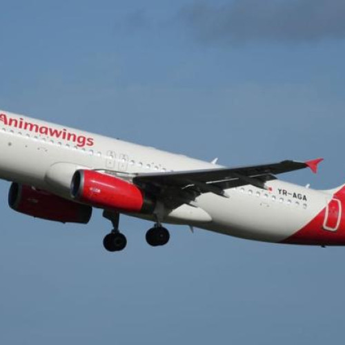 Animawings anunță noi zboruri din Cluj-Napoca