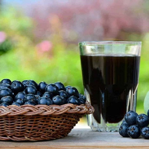 Sucul de aronia, superaliment disponibil în Satu Mare