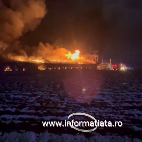 Explozie devastatoare la ferma de porci din Vornicenii Mici