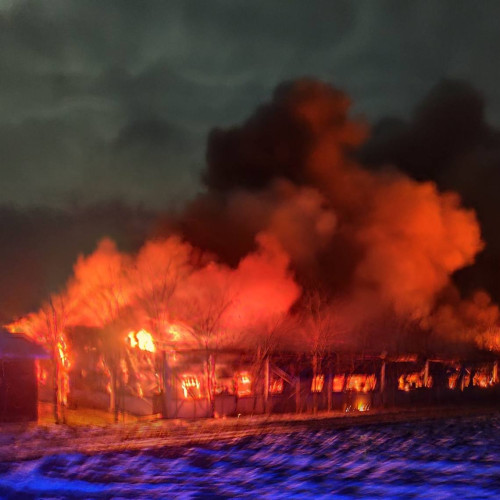 Incendiu devastator la o fermă de porci din județul Suceava