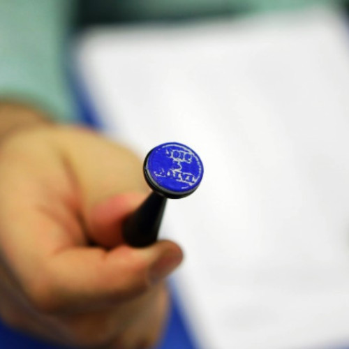 Guvernul a stabilit data alegerilor prezidențiale și măsuri pentru campania electorală