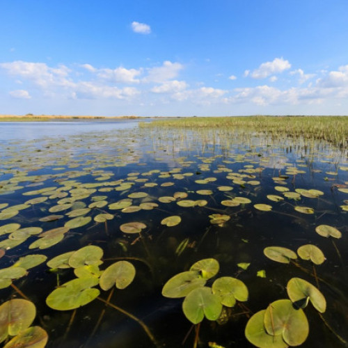 Acuzatii de frauda legate de un proiect european în Delta Dunării