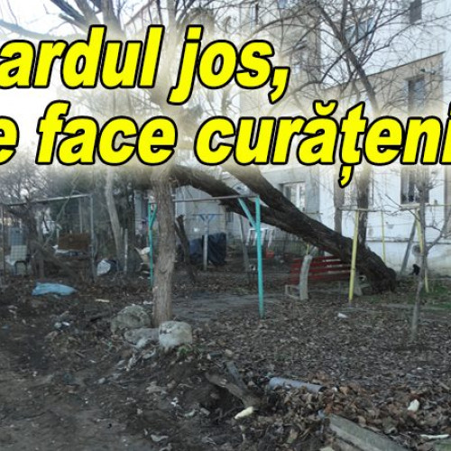 Teren viran din cartierul Micro XIV transformate într-un parc